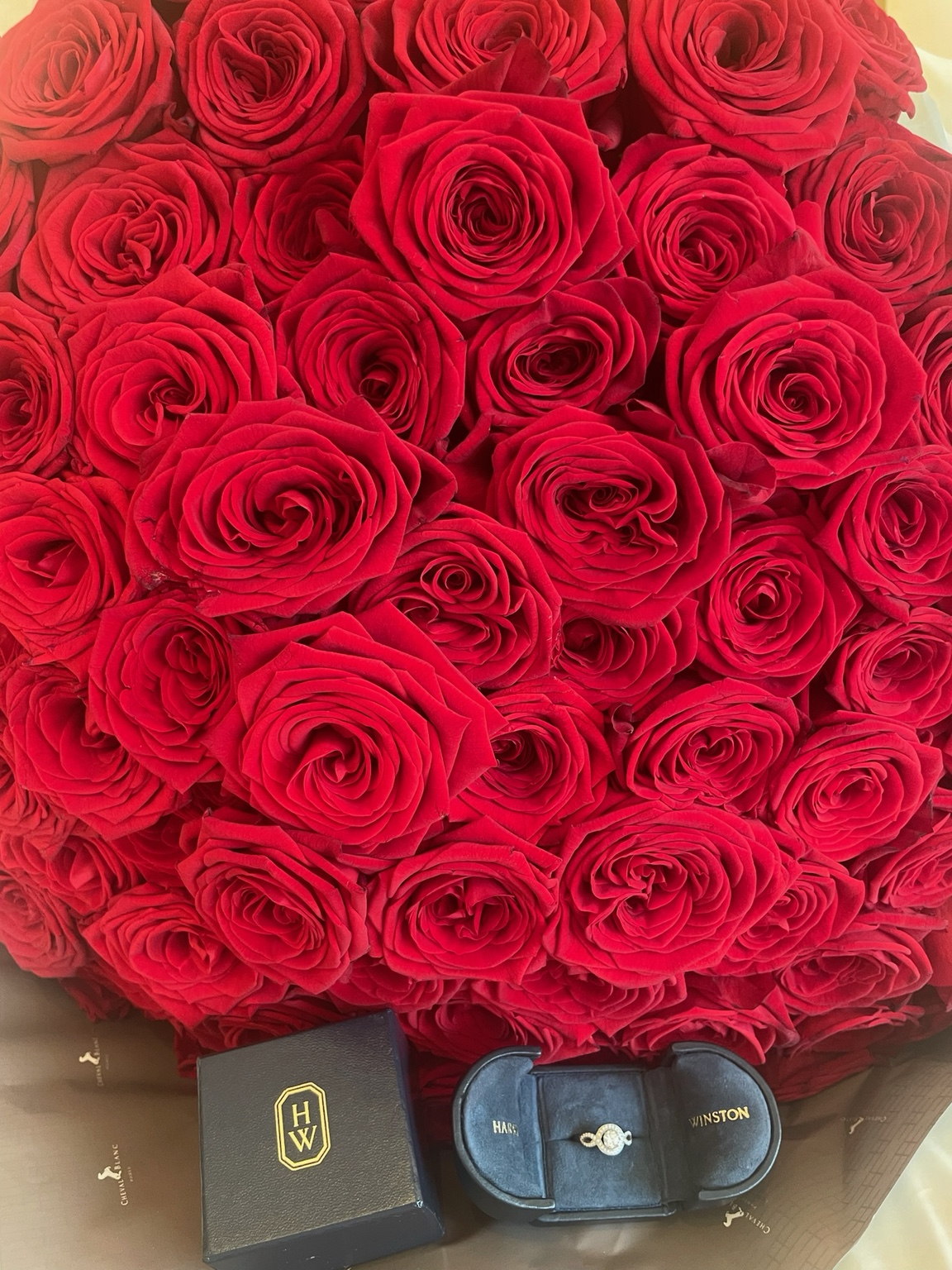 赤い薔薇の花束と憧れの婚約指輪